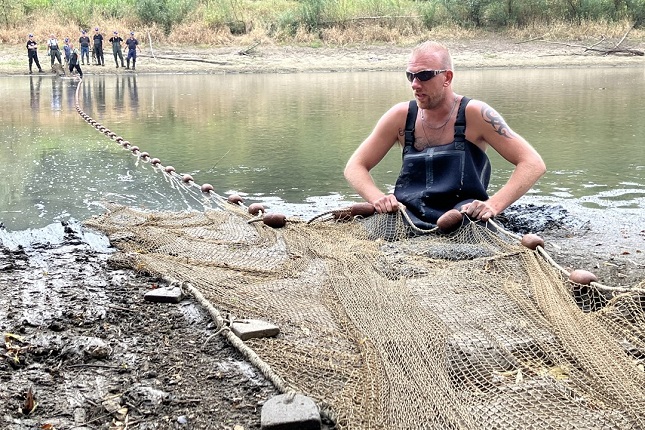 Dutch Anglers Save Fish as Rhine Drought Bites