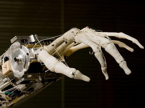 Why Are Tech Bros So Desperate to Say AI Is Sentient?