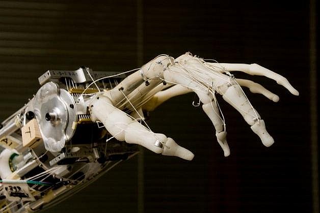 Why Are Tech Bros So Desperate to Say AI Is Sentient?