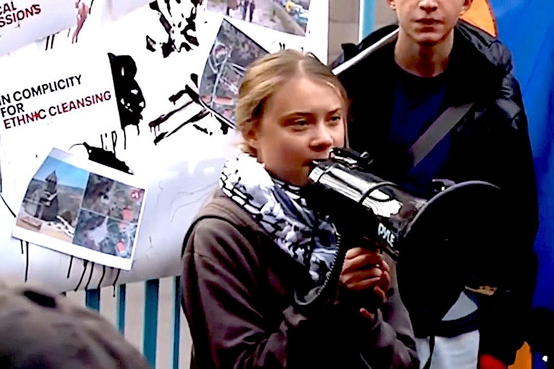 From Media Darling to Persona Non Grata: Greta Thunberg’s Journey