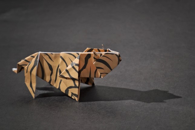 Just a Paper Tiger