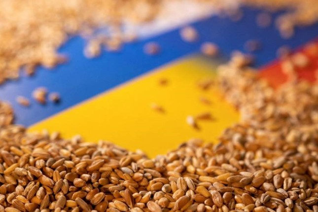 After Feared Global Food Shortage, Rift in EU Emerges Over Grain Glut
