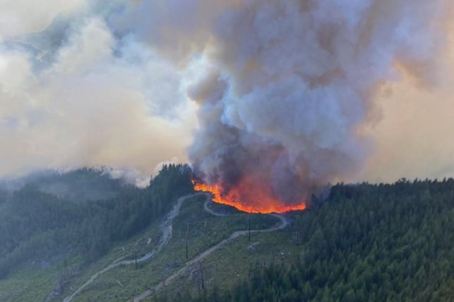 Canadian wildfires have caused astonishing global damage