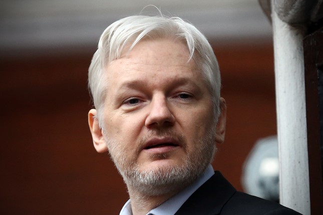 US Ambassador to Australia Hints at Plea Deal for Julian Assange