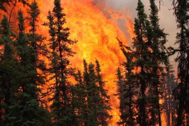 the-canadian-forest-fires-and-global-climate-change
