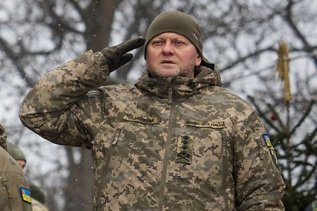 Ukraine’s Commander-in-Chief Says the War Is a Stalemate