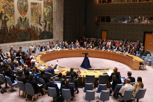 Divide deepens as UNSC fails to pass several resolutions to halt Gaza fight