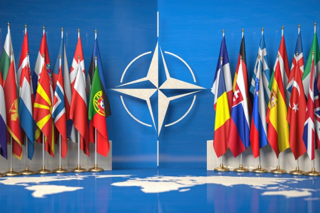 The Growing Fissures in NATO Unity