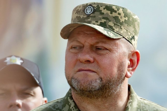 Ukrainian president Zelensky attempts to remove commander-in-chief Zaluzhnyi