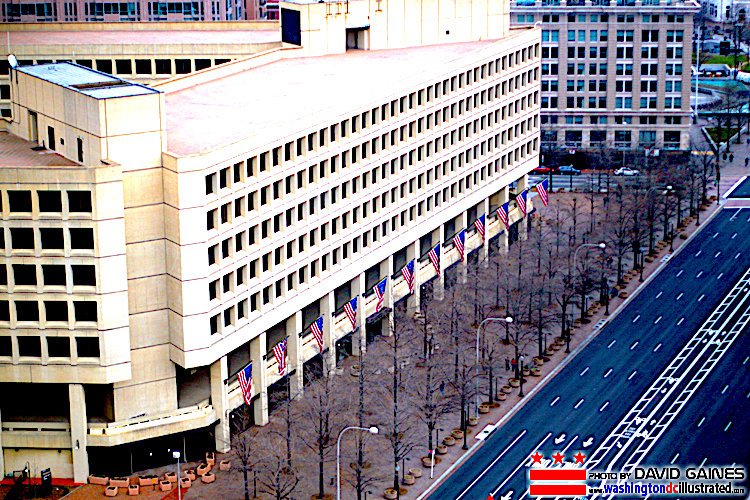 The Deep State’s Burst Appendix